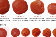 巨大梅干しの作り方