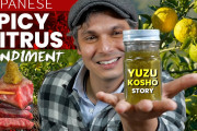 海外「これは食べてみたい！」日本の調味料「柚子胡椒」ができるまでに密着した動画に反響