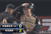 【vs西武】日ハム生田目、初回に栗山に2点タイムリーを浴びて先制点を許す
