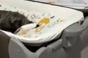 【ネコ】 ベビーベッドに赤ちゃんはいなかった。なかなか良い場所にゃ♪ → 猫はこうなった…