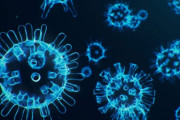 コロナをコロナでぶち殺すという新しい治療の可能性が見つかる