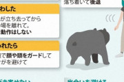 【動画】襲われた被害者が語る、クマとの出会いから学んだ教訓とは？