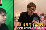 ヒカキン「普通の大人だったらゲームに課金をするでしょ？」