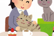 【急募】男独りで猫カフェに行く方法