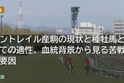 コントレイル産駒の現状と種牡馬としての適性、血統背景から見る苦戦の要因
