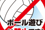 1歳ちょっとで歩けるようになった娘と実家近くの公園でボール遊びしてたら、ボール禁止って注意されたわ