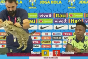 【W杯】ブラジル代表広報が会見乱入の猫?を「残酷に始末」…！？