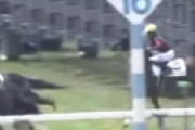 【動画】 東京競馬2R、アドーニスが競馬を理解できず競走中止の衝撃ハプニング 「かわいいwww」 場内爆笑