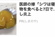 【朗報】やきう民、胡散臭い健康食品のイメージキャラに起用される