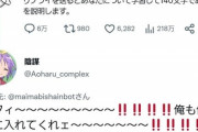 【悲報】TwitterのAIさん、『アニメアイコン』にとんでもない誹謗中傷を送ってしまうｗｗｗｗ