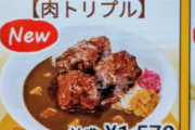 【画像】すき家の新メニュー、めちゃんこ美味そう