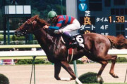 【悲報】1997年の菊花賞馬マチカネフクキタルが死亡 26歳