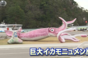 【地方創生臨時交付金】石川県さん、コロナ対策の臨時交付金2500万円使い巨大イカのモニュメント設置