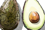 【画像】買ったアボガドなんか変なんだが･･･