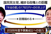 【朗報】自民党「与党来いよ」国民民主党「連立組んでもメリット無くね？」と気付いてしまうｗｗｗｗｗ