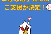 日本プロ野球選手会が「ドナルド・マクドナルド・ハウス」の継続支援を発表