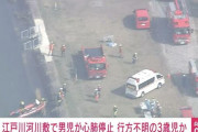 さくら堤公園で行方不明の男児、江戸川で発見　心肺停止状態