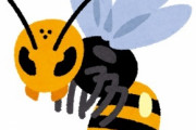 【画像】『スズメバチ』さん、デザインが極悪すぎてヤバい