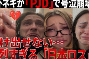カナダ在住、小3娘の友だちが日本式弁当に「気持ち悪い」「変なの」→文化の違いどう受け止める？　[5/4]