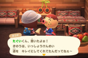 【たぐいのほのぼの島日記】地道な島クリエイター＆久々のジョニーを閉じ込め【あつ森】