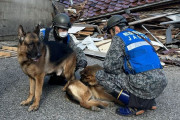 航空自衛隊の捜索犬ジェニファー、輪島で高齢女性を救出…木原防衛相発表！