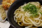 バカども「うどんは丸亀製麺！」　ワイ「はなまるうどんのほうが好きだもん…」