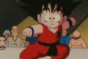 【ドラゴンボール 】サイヤ人編からセル編までに開催されてた天下一武道会ｗｗｗｗｗ