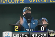 【速報】日本ハム、ホームスチール成功ｗｗｗｗｗｗｗｗ