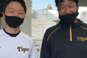 【阪神】大山と通訳がそっくりと話題に