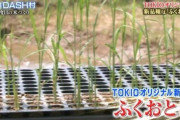 TOKIOが官邸に福島DASH村で収穫された「ふくおとこ」を献上する