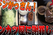 お前ら「加藤純一がとんかつの衣剥がして食ってる！！！ｷｬｯｷｬｯ」←これ
