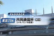 パドック解説特有の「適当に7番人気あたりも挙げとくか」の精神