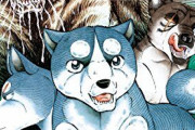 【朗報】「犬」が最強の漫画、流石に存在しない！！