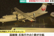 丘珠空港発の飛行機とキツネが衝突、JAL2757便欠航…乗客乗員にけが人なし！