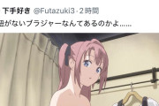 【画像】オタク「肩紐がないブラなんてあるのかよ」→炎上