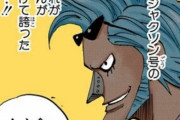 【ワンピース】麦わら海賊団の仲間は「フランキーまで」という風潮ｗｗｗｗｗ