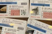 上野の飲食店に置いてあって一目で「なんじゃこりゃ！？」となった科博の海展の割引券。おもしろすぎる?