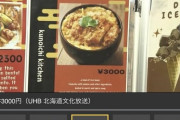 ニセコのキッチンカー「カレー3000円、カツ丼3000円」訪日外国人「やっすぅ～い❤」 （※画像あり）