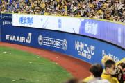 【朗報】グラウンドにゴミを投げ込んだ阪神ファン、警察沙汰になりそう