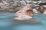 【動画】 温泉中継でとんでもない◯見え放送事故ｗｗ
