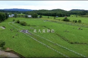 【謎】本州から「北海道大学」を受験する奴の正体‥‥