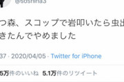 霜降り明星・粗品「あつまれ どうぶつの森は虫が気持ち悪いから辞めた」