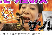 【画像】あの超大御所タレントがついにyoutube参戦！！wwwwww