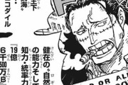 【ワンピース】クロコダイルさん、どう考えても19億の器じゃない
