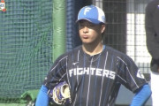 日ハムの投内連携ボロボロ　解説陣も酷評