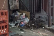 【動画】東京、ネズミの大群がゴミ捨て場でバイキング