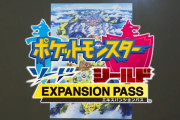 ワイの息子がポケモン剣盾に課金したがってるんやが…