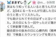 【悲報】るしあの元ファン「実はルーちゃんが引退した日にあまりのショックで…」