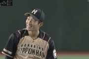 【練習試合vs巨人】日ハム石井、ファインプレー！