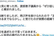 【国民民主党】石丸伸二さん”たまたま”様子を見に行ったところ”強引に”演説させられただけだった
